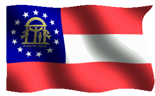 usgeorgia flag
